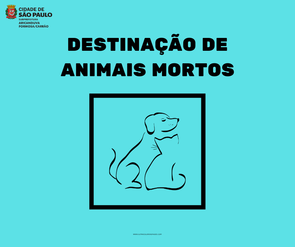 Imagem ilustrativa referente à destinação de animais mortos